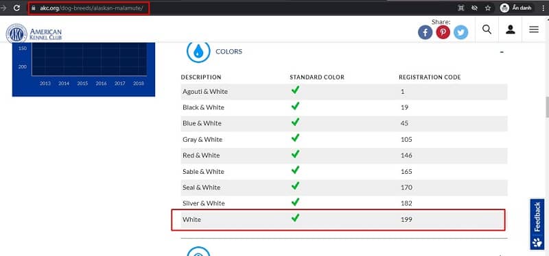 chó alaska trắng được akc công nhận