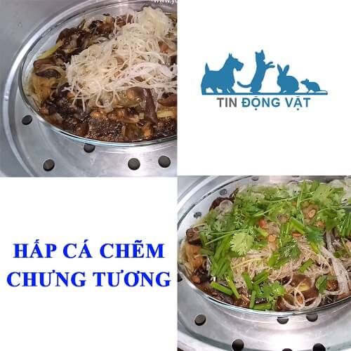 hấp món cá chẽm chưng tương