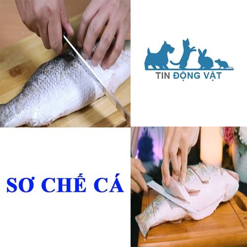 cách sơ chế cá làm món chưng tương